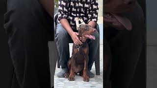 Selective breeding