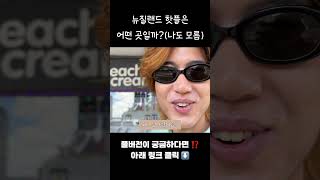 케이로드 뭐하는 곳이길래 길거리에 이런게....? #오클랜드여행 #맛집 #뉴질랜드