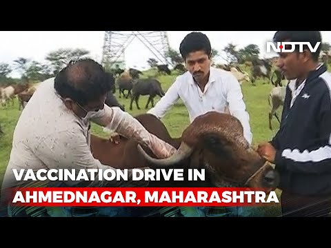 Hilltop Vaccination For