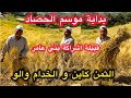 بداية موسم الحصاد بدوار اگريطات القرية تاونات الثمن غالي و الخدام فين تلقاه