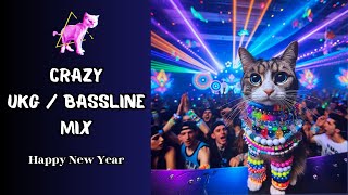 Piyou Patate ✴︎『⩇⩇:⩇⩇』🎉Yearmix 2025 🎉 [ Future House / UKG / Bassline / Dubstep / Hip Hop / Techno ]