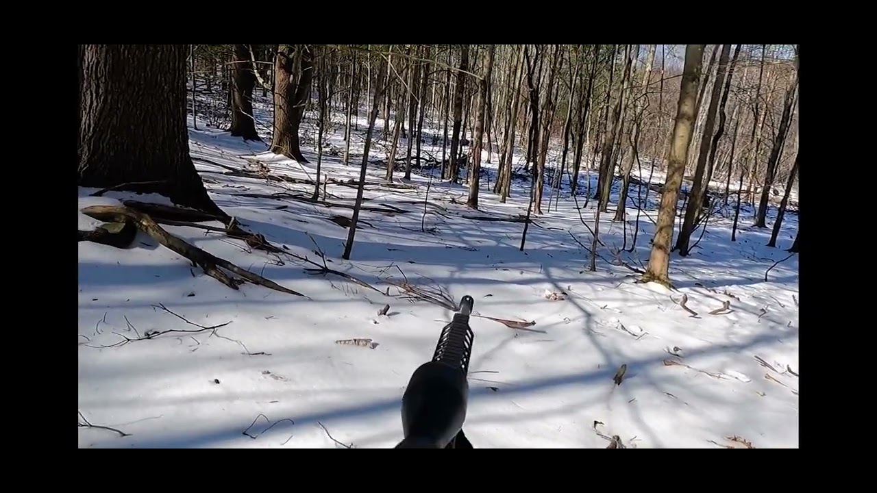 2022 hog hunting Pennsylvania
