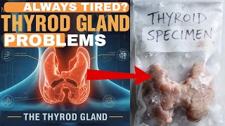 Why You Are ALWAYS TIRED!! 🥱  #health #tired #thyroidhealth  