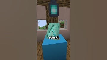 This Would Be The BEST Change Minecraft Could Add | Items Displayed Mod