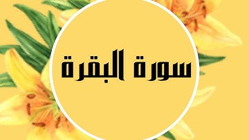 سورة البقرة صلاح البدير بدون اعلانات