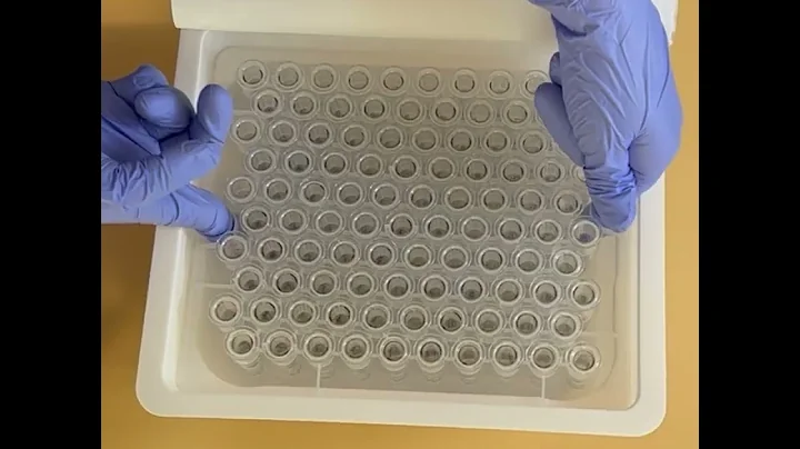 Medical borosilicate prefilled glass syringes