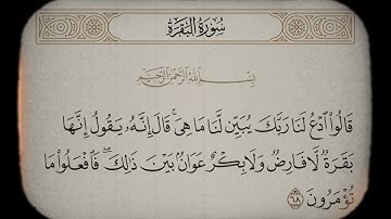 سورة البقرة | تلاوة مشاري العفاسي | الآية 68