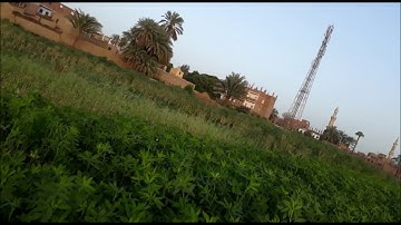 سورة الكهف وطه II تلاوة خاشعة بصوت الشيخ أبوبكر مومني 25-03-2019