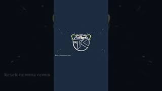 Kesek Nema Remix