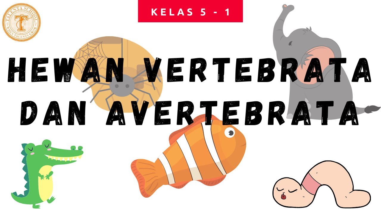 PJJ Kelas  5  Hewan  Vertebrata  dan  Avertebrata  YouTube