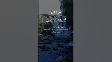 #اكسبلور #القارء #duet #ايات #راحة_نفسية #تلاوات #دويتو #تلاوه #تيك_توك #لايك