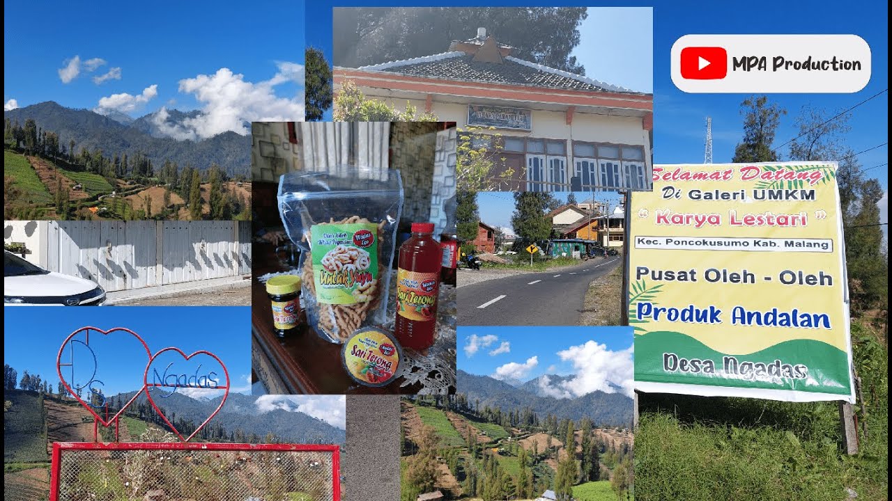 WAJIB TAU !!! Jalan Menuju Desa Ngadas yang Bagus dan Eksotis Pemandangannya