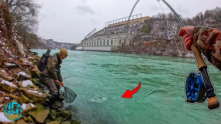 Is This One of the Rarest Fish In New York? - Fly Fishing for HUGE Trout! (Lakers Pt 1)