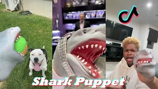 Funny Shark Puppet TikTok Compilation | The Shark Puppet TikTok Videos 2021 - 2022