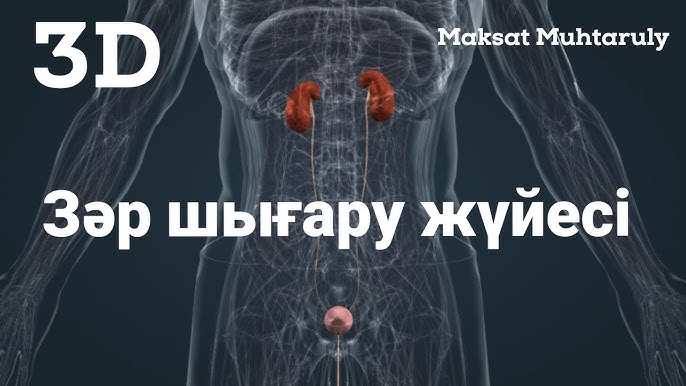 Смотреть порно: сперму в досының анасы