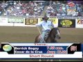 Bfi team roping top 52009