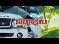 Phill Pauz BUKAYO SAKA Official Music Video2025