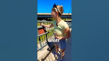 What difficulty rating would you give this Geocache?! 👀