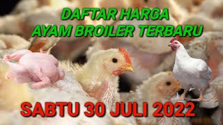 Harga Ayam Broiler Jum'at 19 Agustus 2022. 