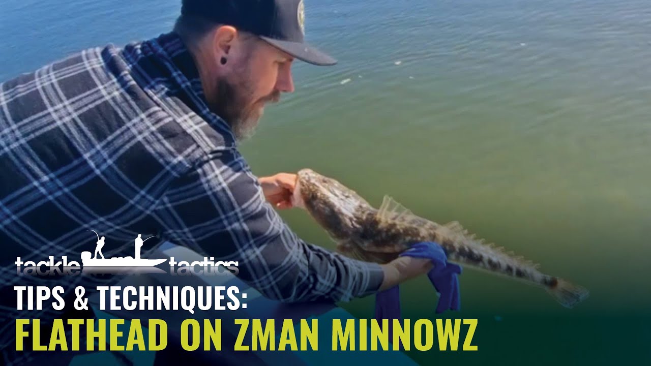 How to Catch Flathead on Soft Plastics ZMan 3" MinnowZ YouTube