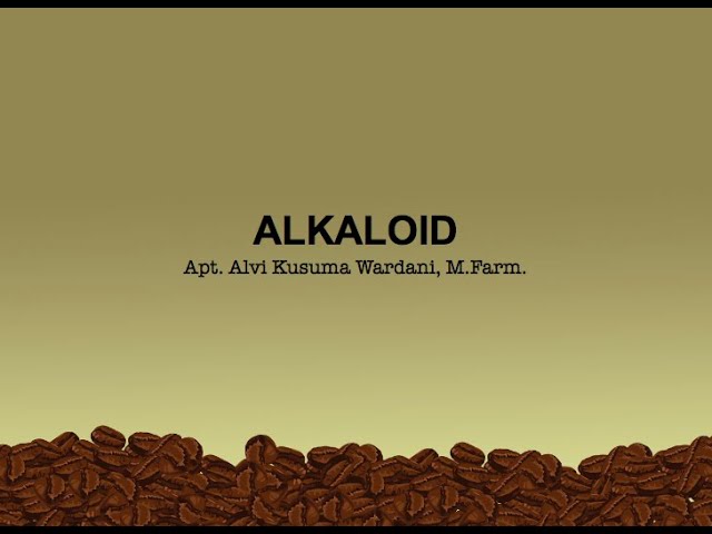 Alkaloid | Fitokimia class=