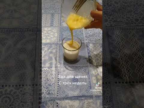 Чем кормить щенка