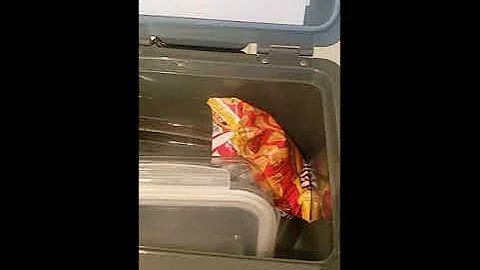 Stanley 7qt lunchbox