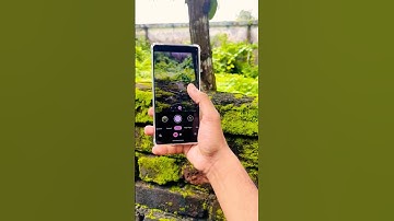 Pixel 7 Pro 🔥😈 Macro photography #16promax #tech #camera #pixel