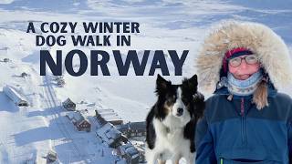 Life in a remote Norwegian railway village | Quiet winter living | Finse Station | Slow travel