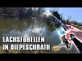 Lachsforellenangeln Im Angelpark Diepeschrather Mühle Forellenangeln Im Frühling