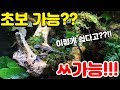 비바리움 완전정복! 식물구매부터 미스팅까지!!