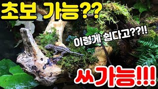 비바리움 완전정복! 식물구매부터 미스팅까지!!