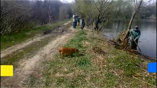 шаббатник в Перекопе на Левендаловке