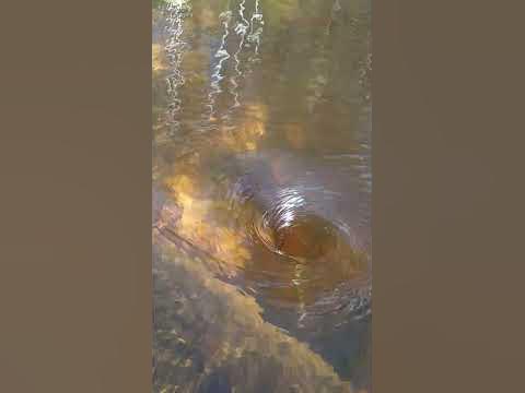 водяная воронка в озере - YouTube