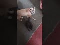 minha casa minha vida
