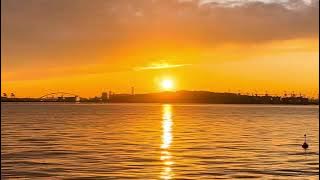 No.6 In My Dreams - Esther Abrami（Tokyo  20240102）