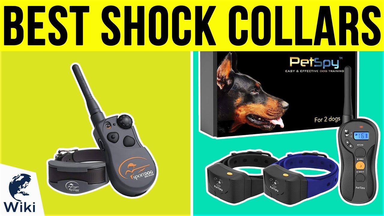 whats the best dog training shock collar