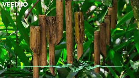 Bamboo Wind Chime Sounds for Sleep, Study, Relaxation, Focus, etc. - 5 Hours