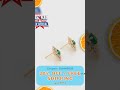 Store Wide Summer Sale