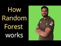 How Random Forest Work|How Random Forest Algorithm Works|Random Forest Machine Learning