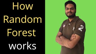 How Random Forest Work|How Random Forest Algorithm Works|Random Forest Machine Learning