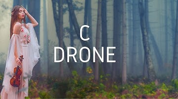 C Drone to Practice to, but you are in a distant Forest