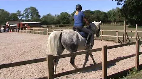 RUTH WHITBY AND CRYSTAL HEARTBEAT INTRO A MAY 2020...