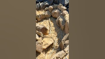 Why Stone Placement Can Make or Break Your Pond Build!🪨🪷⛏️ #gardeningtips #landscapedesign