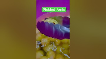 Pickled INDIAN GOOSEBERRY /  AMLA #shorts #gooseberry #nutritious #vitc #fruit #viral #amla
