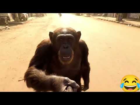 ناس بارشلونة قولو وااااااااااااااااي