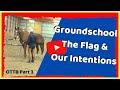 How To Flag Your Horse. Groundwork Techniques to Relax, Create Space, AND Convey Intent