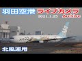 ①羽田空港 ライブカメラ 2021/1/25 Planespotting Live from TOKYO HANEDA Airport  離着陸 Landing Takeoff ライブ配信