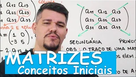 O que é matriz Rice?