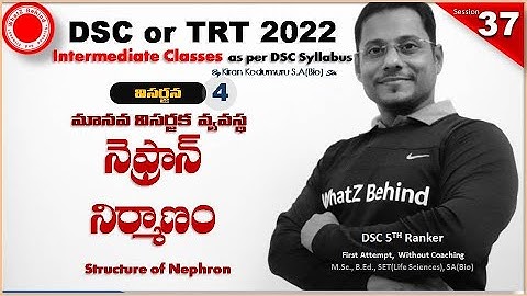 Structure of Nephron||TS TET 20222|| DSC TRT ||NEET online classes in Telugu